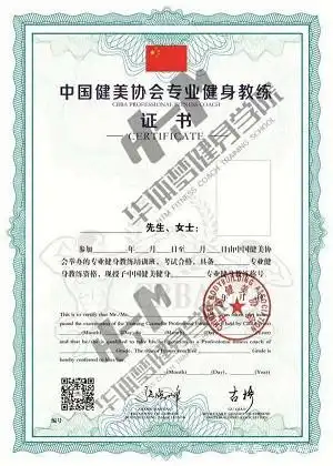 健身房私人教练课程_健身房的私人教练有多乱_宁大健身房私教