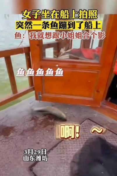 生活中的趣味作文800字_生活中的趣味小知识_生活中的趣味点赞