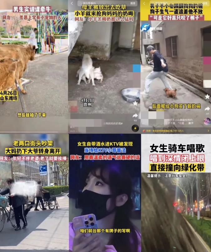 生活中的趣味点赞_生活中的趣味小知识_生活中的趣味作文800字