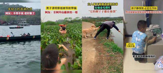 生活中的趣味小知识_生活中的趣味作文800字_生活中的趣味点赞