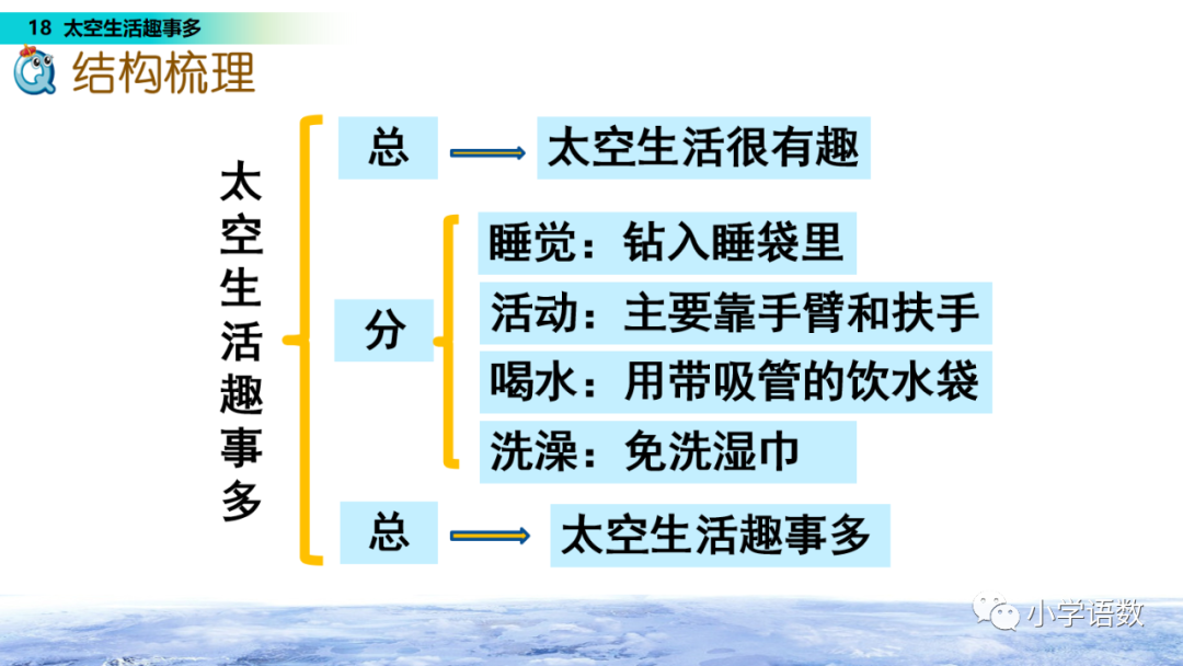 课文太空生活趣事多的课文教程_太空生活趣事课文解析_太空趣事解析课文生活中的问题